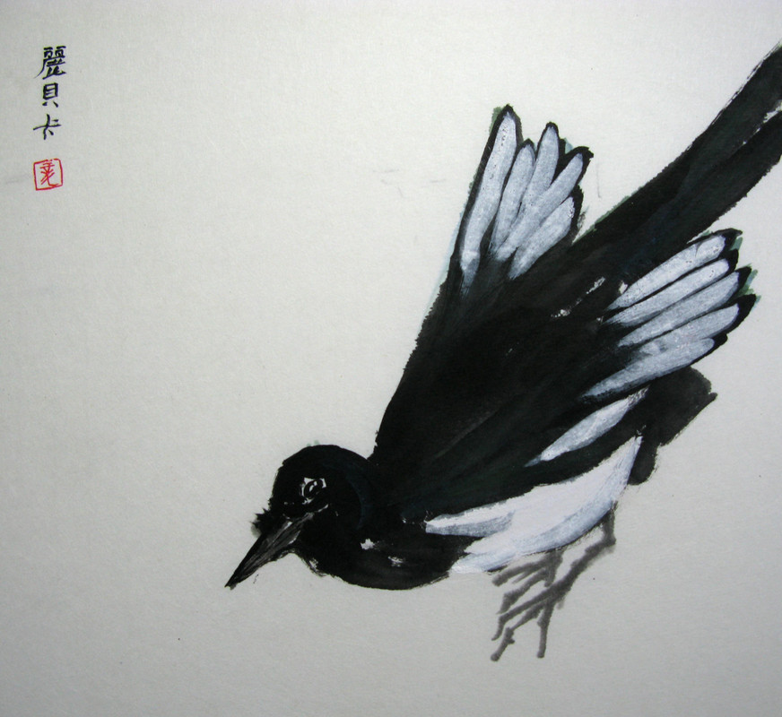 Magpie Pranks