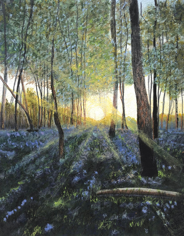 Bluebell wood