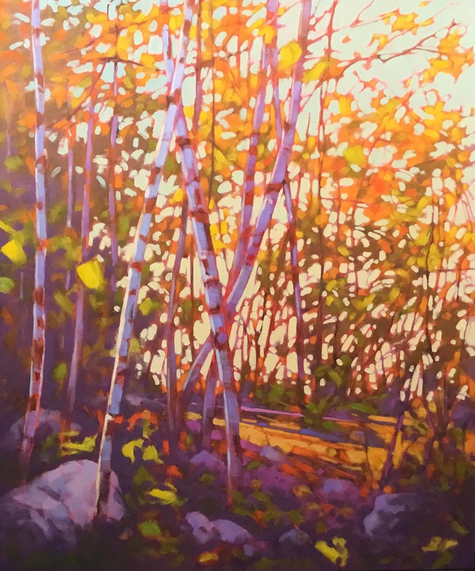 Birch Tangle