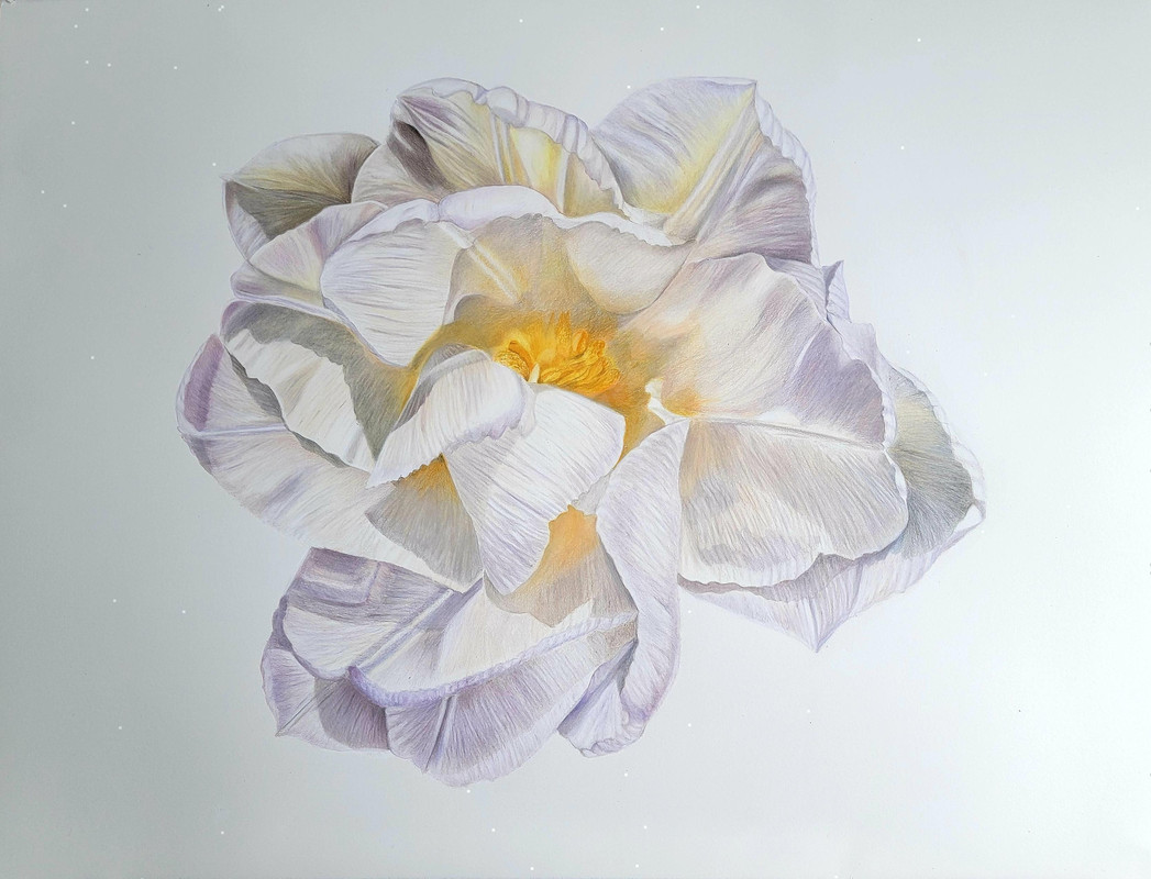 Purity