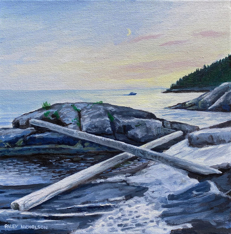 Moon over crossed logs