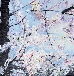 Garry Point Cherry Blossoms 1