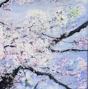 Garry Point Cherry Blossoms 2