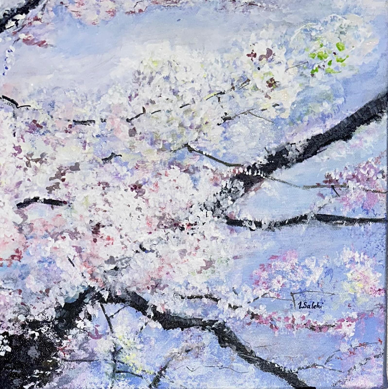 Garry Point Cherry Blossoms 2