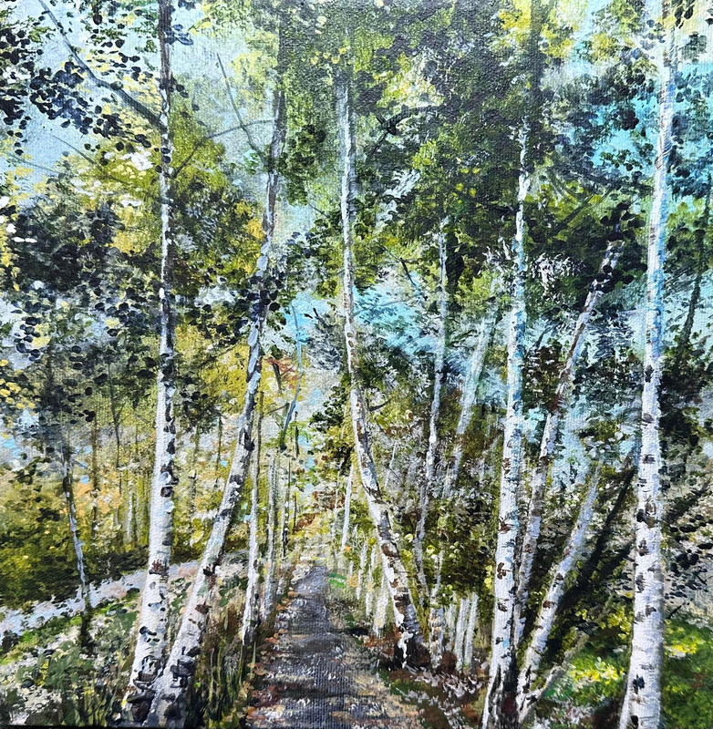 Birch Trees