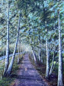 Birch Trees on My Path
