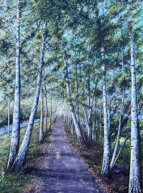 Birch Trees on My Path