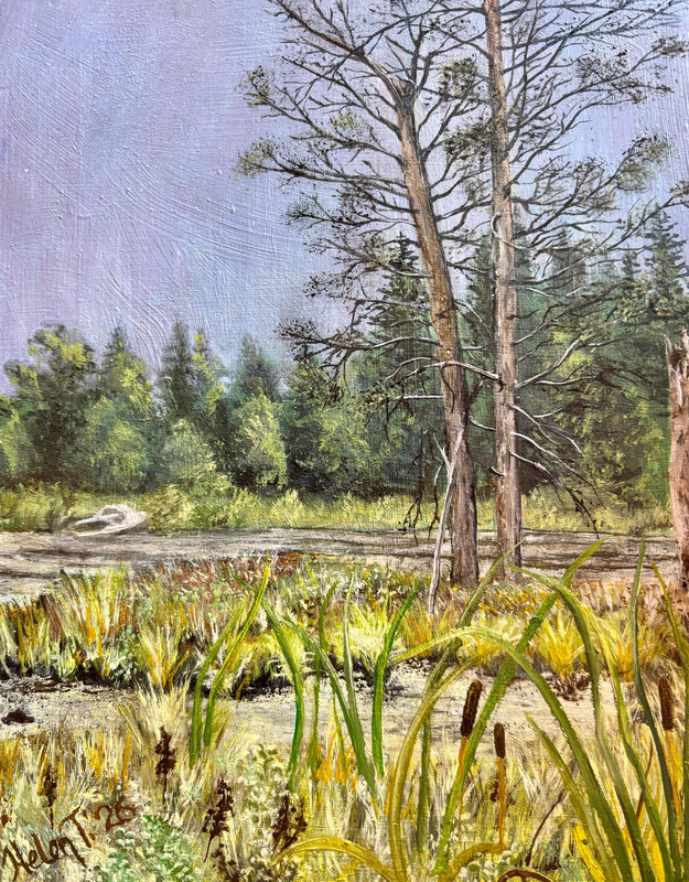 Boat in a Bog