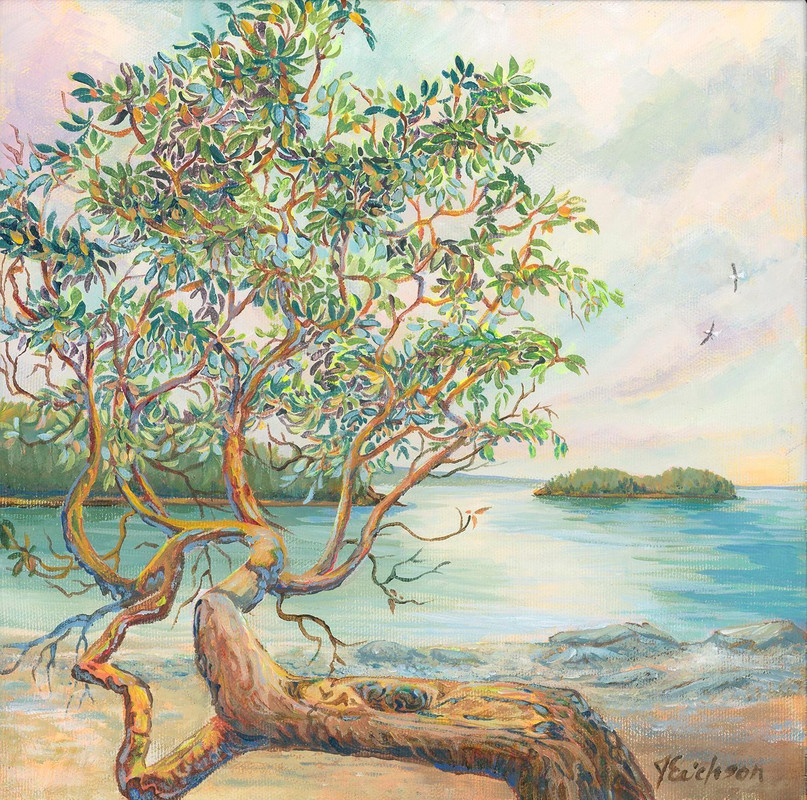 Grace of the Coast