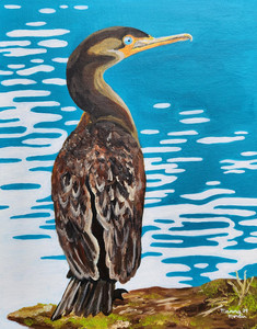 Cormorant Adrift