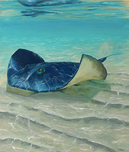 Casting Rays