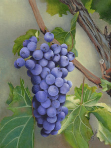 Grapes