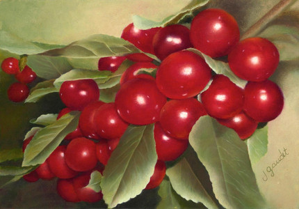 Cherries