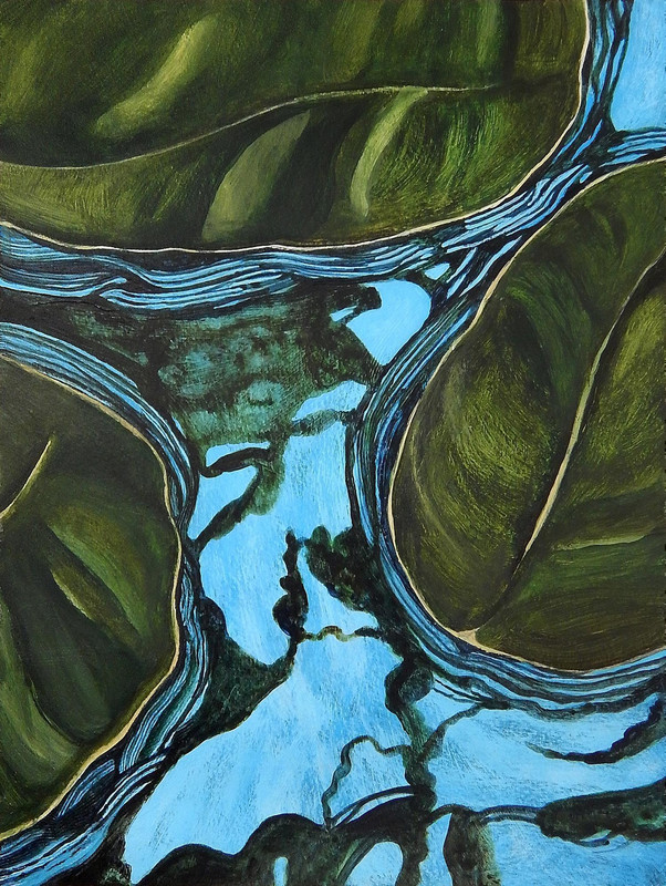 Waterlily Pads at the Lagoons