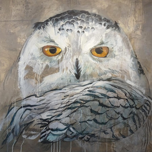 BLANCHE - Portrait of a Snowy Owl