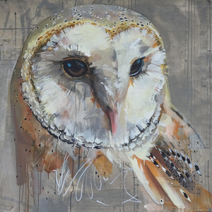 LUNA-Large Portrait of a Barn Owl