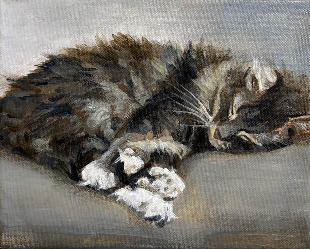 Cat Nap