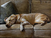View #1