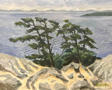 Creyke Point in summer 2020