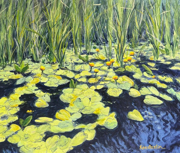 Yellow waterlilies