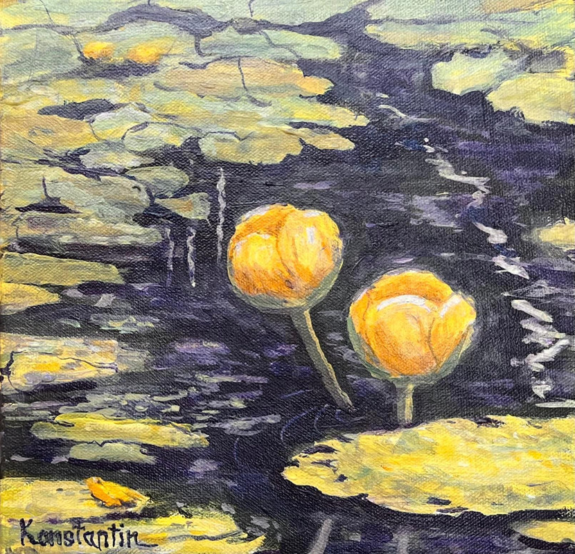 Two waterlily buds