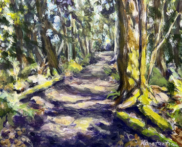 Woods in Sechelt