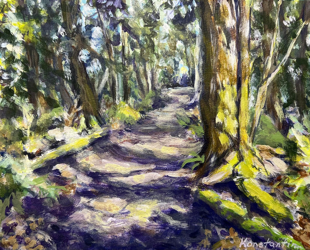 Woods in Sechelt