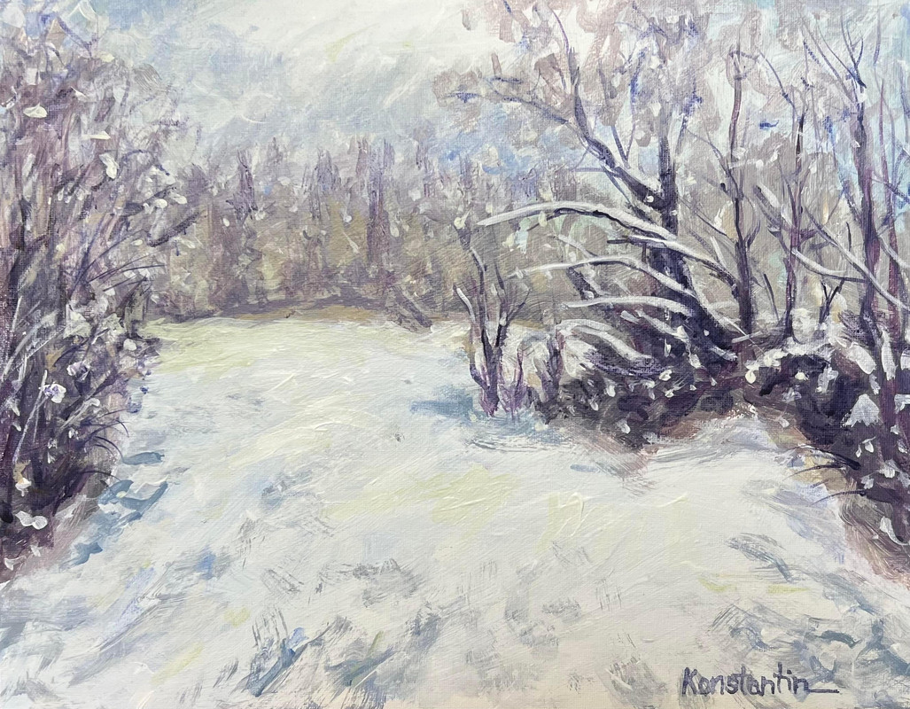 Deer Lake path on a snowy day