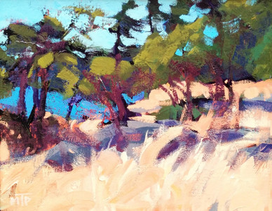 Salt Spring Island Study