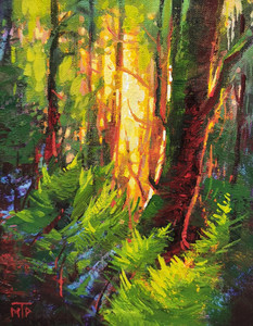 Forest Sunset