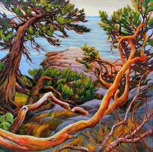 Coastal Arbutus and Jack Pine