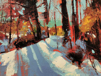 Snow Path Study