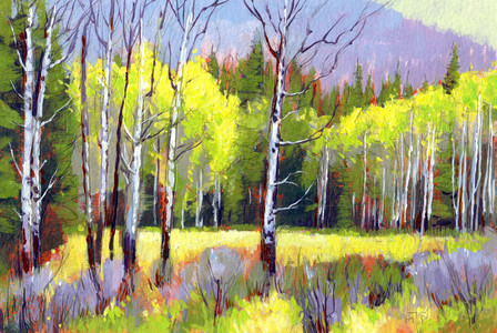 Moose Meadow