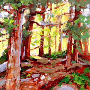 Watershead Forest