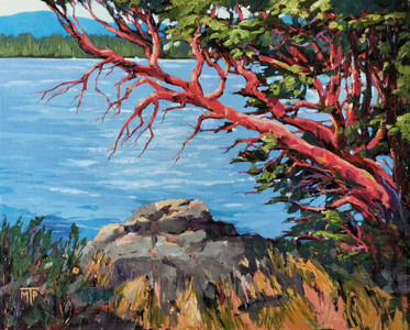 Arbutus Summer
