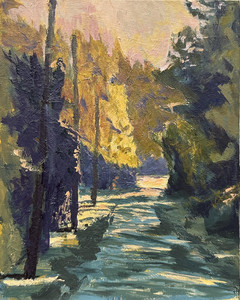 Light in the Distance