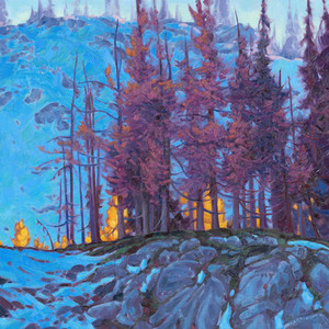 Golden Branches, Winter’s First Touch