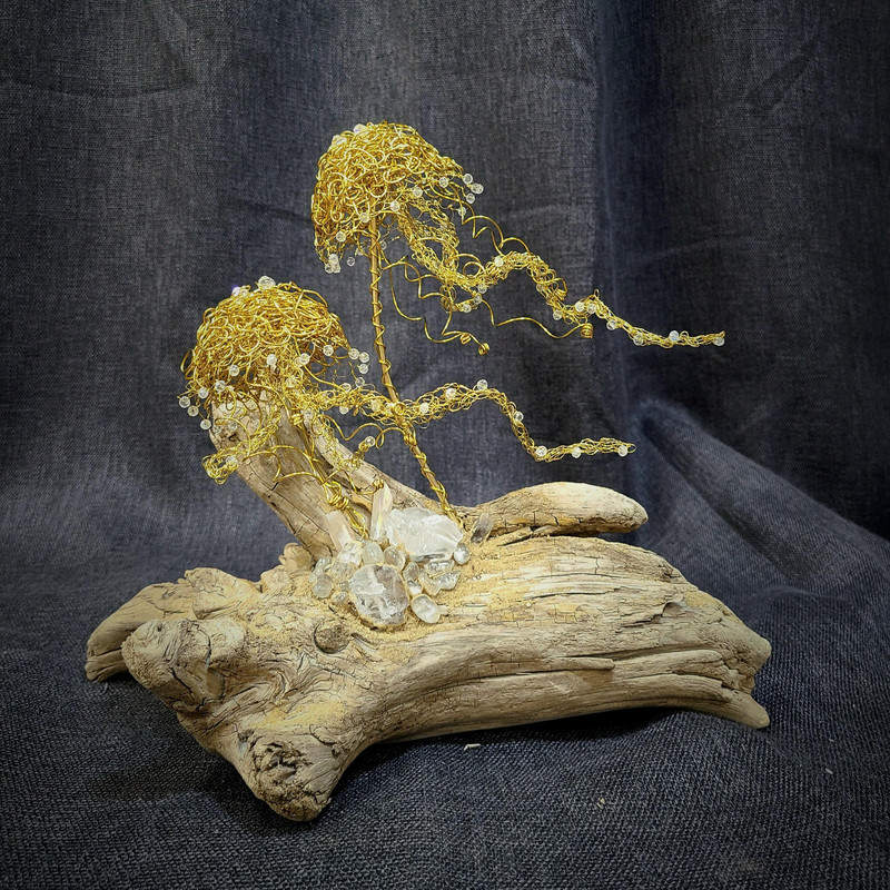 Sea Jellies