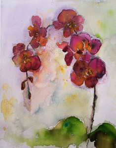 Orchids