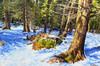 View #1