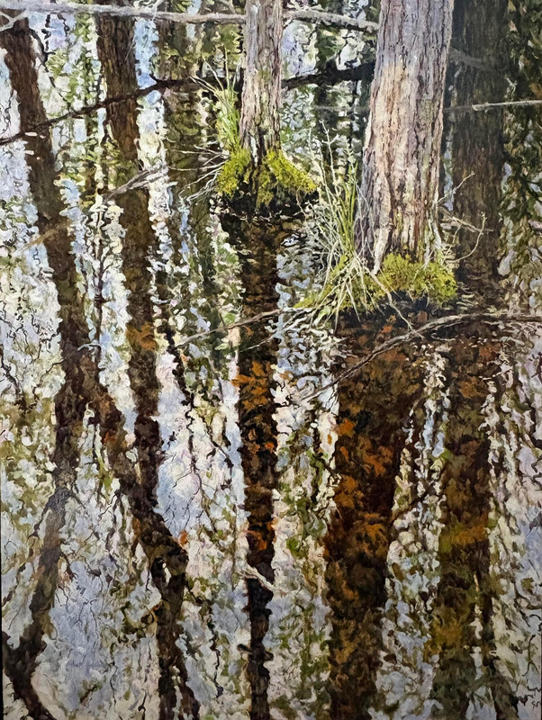 Beneath the Surface