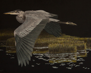 Evening Blue Heron