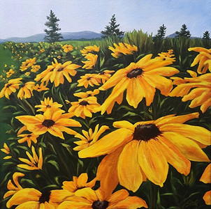 Brown Eyed Susan's