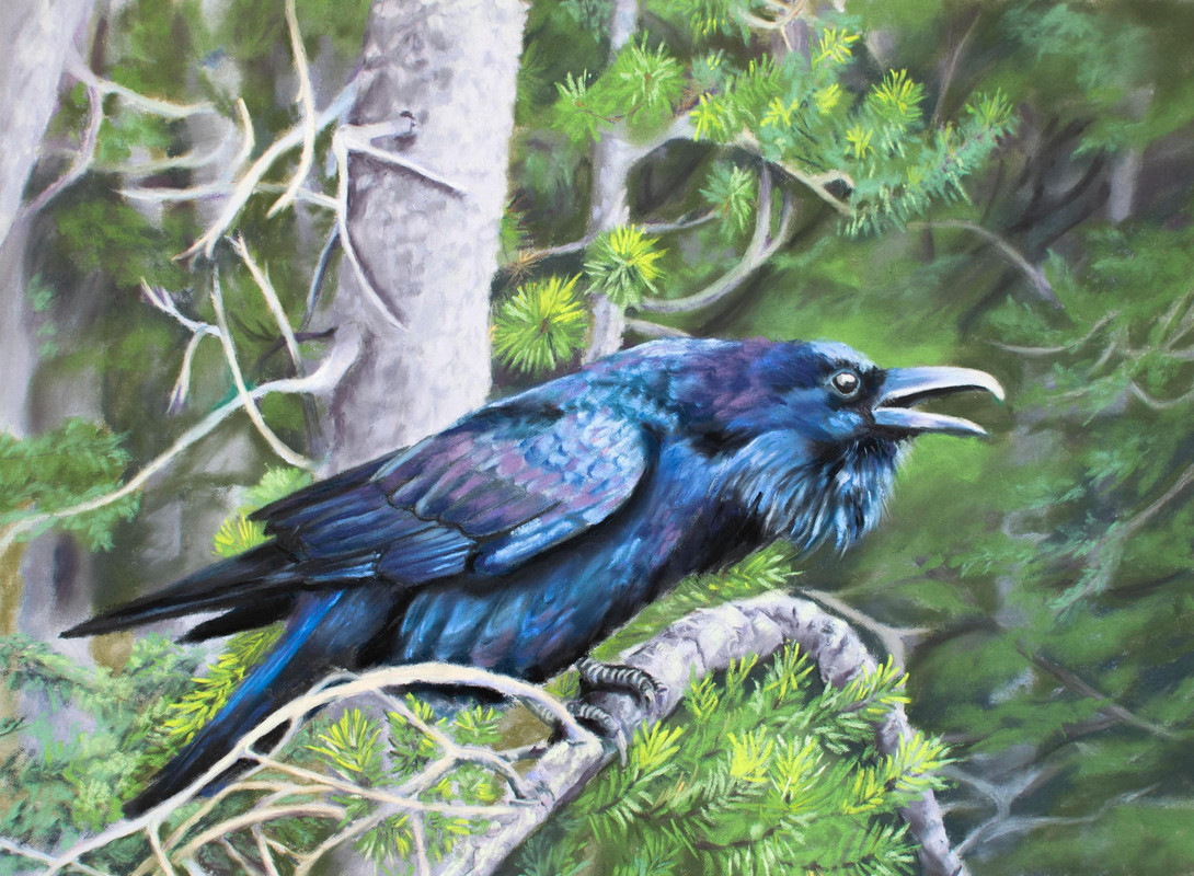 The Raven's Query