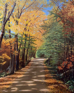 Autumn Trails, Inlet, Quebec