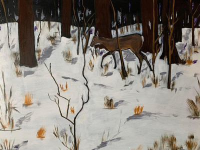 Deer in the Woods