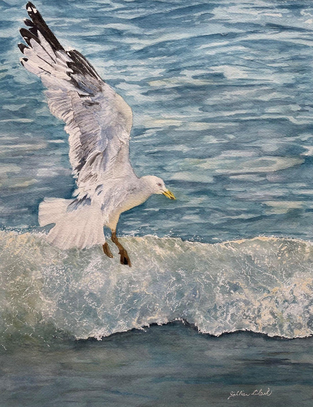 Coming in for a Soft Landing