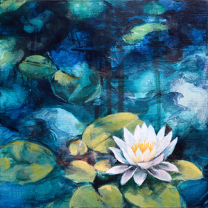 Nymphaea