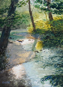Sunlit brook