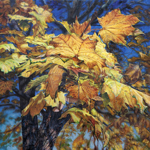 Autumn breeze